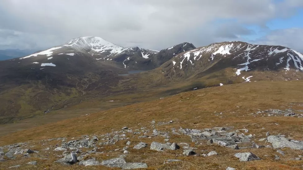 Climate change blamed for declines in mountain plants