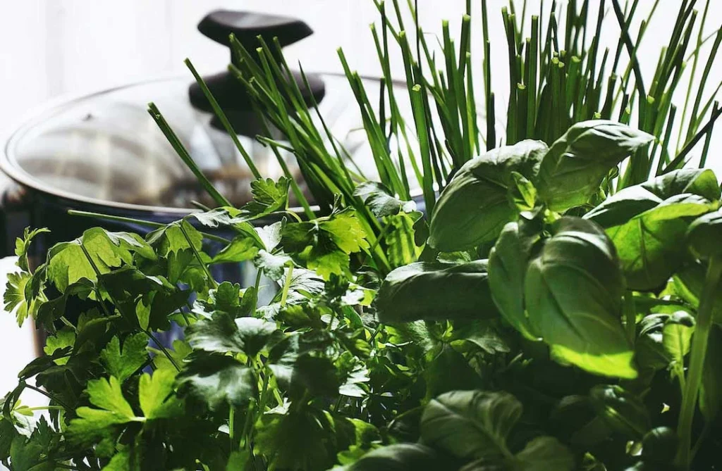 grow herbs