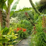 exotic garden plants